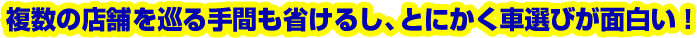 複数の店舗を巡る手間も省けるし、とにかく車選びが面白い!