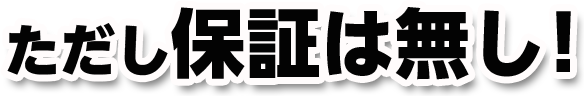 ただし保証は無し!